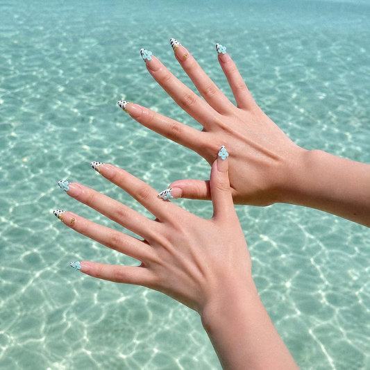 Sea Safari