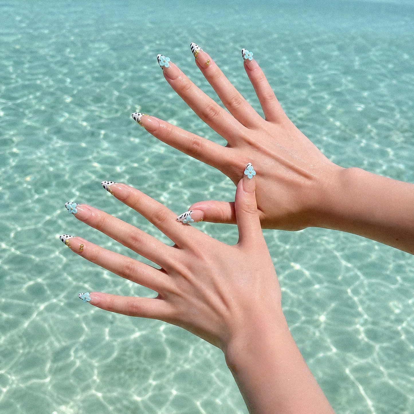 Sea Safari